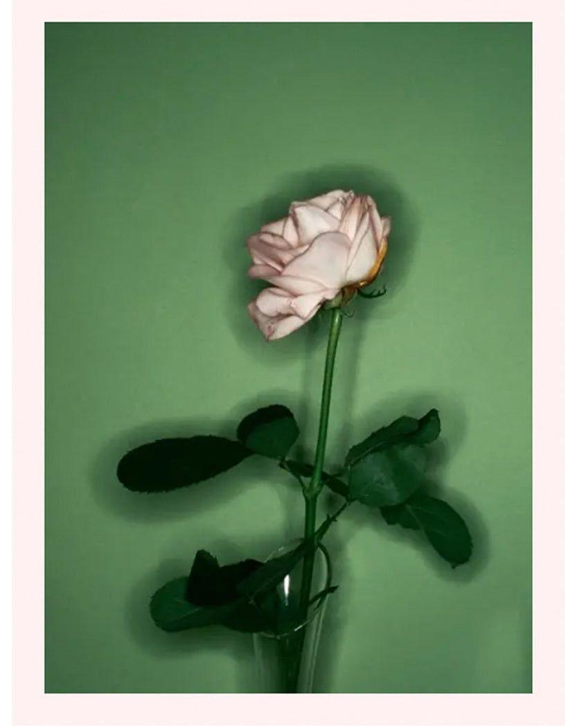 Nobuyoshi Araki "Portrait Obtained By Telepathy" (2018)